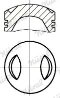  WG1176038 WILMINK GROUP Поршень