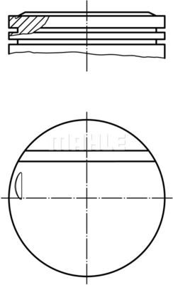  WG1200584 WILMINK GROUP Поршень