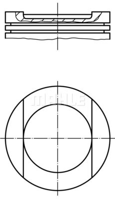  WG2201191 WILMINK GROUP Поршень