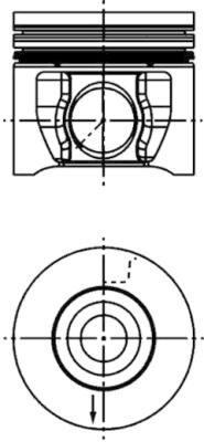  WG1016746 WILMINK GROUP Поршень