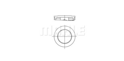  WG2201138 WILMINK GROUP Поршень