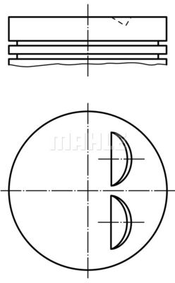  WG1259355 WILMINK GROUP Поршень