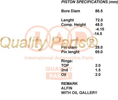  10017199 IAP QUALITY PARTS Поршень