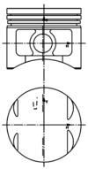  WG1016263 WILMINK GROUP Поршень