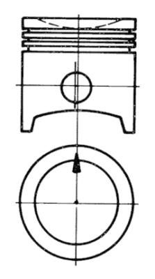  WG1022219 WILMINK GROUP Поршень