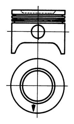  WG1022481 WILMINK GROUP Поршень