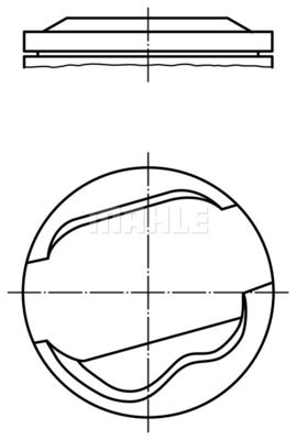  WG1261274 WILMINK GROUP Поршень