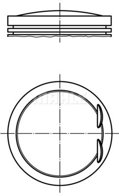  WG1200191 WILMINK GROUP Поршень