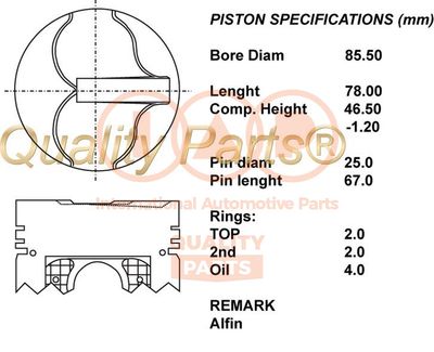  10013053 IAP QUALITY PARTS Поршень