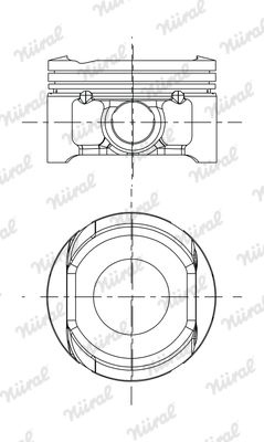  8743770000 NÜRAL Поршень