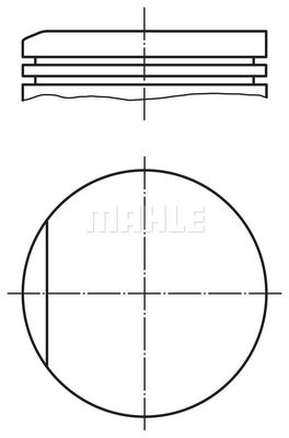  WG1202119 WILMINK GROUP Поршень