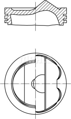  WG1212711 WILMINK GROUP Поршень