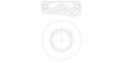  WG1309226 WILMINK GROUP Поршень