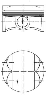  WG1016509 WILMINK GROUP Поршень