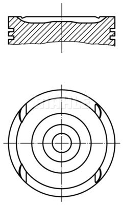  0117901 MAHLE Поршень