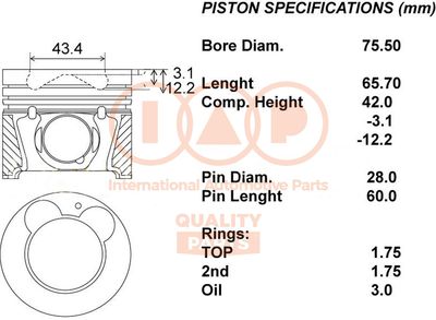  10021079 IAP QUALITY PARTS Поршень