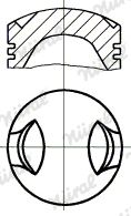  WG1176002 WILMINK GROUP Поршень