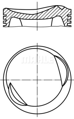  WG1098325 WILMINK GROUP Поршень