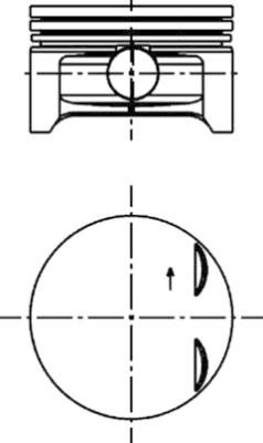  WG1016576 WILMINK GROUP Поршень