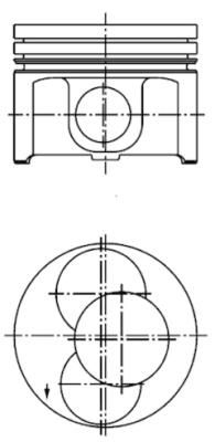  WG1016355 WILMINK GROUP Поршень