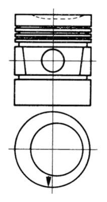  WG1021956 WILMINK GROUP Поршень