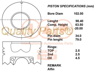  10017031 IAP QUALITY PARTS Поршень