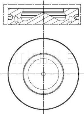  WG2191768 WILMINK GROUP Поршень