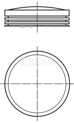  0295102 MAHLE Поршень