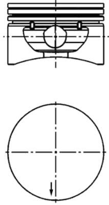  WG1016572 WILMINK GROUP Поршень