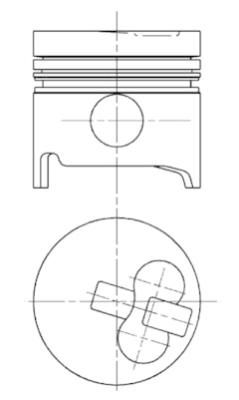  WG1022096 WILMINK GROUP Поршень