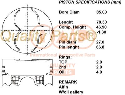  10013030 IAP QUALITY PARTS Поршень