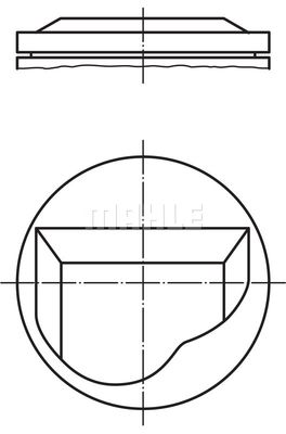  0820202 MAHLE Поршень