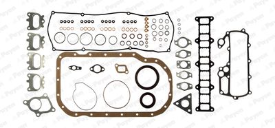FF5490 PAYEN Комплект прокладок, двигатель