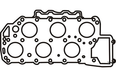 313909 WXQP Прокладка, головка цилиндра