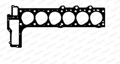 BW741 PAYEN Прокладка, головка цилиндра