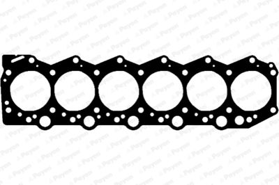 AF5800 PAYEN Прокладка, головка цилиндра