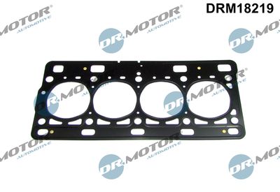 DRM18219 Dr.Motor Automotive Прокладка, головка цилиндра