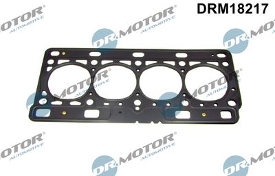 DRM18217 Dr.Motor Automotive Прокладка, головка цилиндра