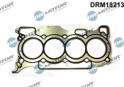 DRM18213 Dr.Motor Automotive Прокладка, головка цилиндра