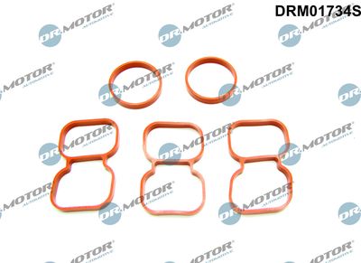 DRM01734S Dr.Motor Automotive Прокладка, головка цилиндра