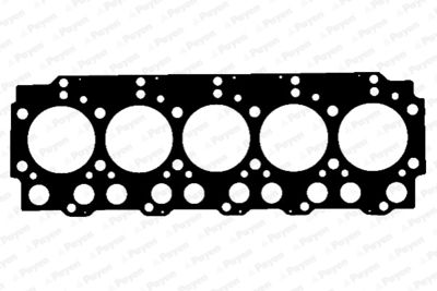 BZ630 PAYEN Прокладка, головка цилиндра