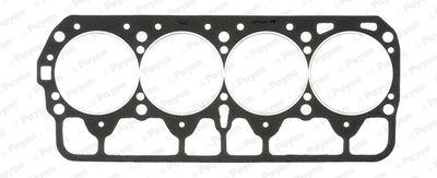 BP190 PAYEN Прокладка, головка цилиндра