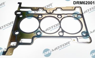 DRM62001 Dr.Motor Automotive Прокладка, головка цилиндра