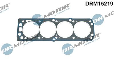 DRM15219 Dr.Motor Automotive Прокладка, головка цилиндра