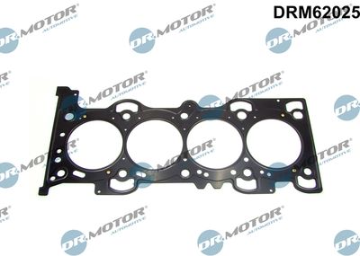 DRM62025 Dr.Motor Automotive Прокладка, головка цилиндра