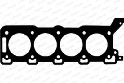 AC5260 PAYEN Прокладка, головка цилиндра
