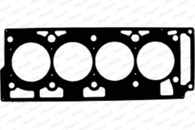 AC5890 PAYEN Прокладка, головка цилиндра