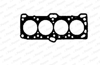 BH060 PAYEN Прокладка, головка цилиндра
