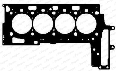 AG5030 PAYEN Прокладка, головка цилиндра