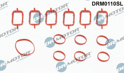 DRM0110SL Dr.Motor Automotive Комплект прокладок, впускной коллектор